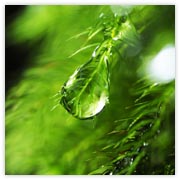 �y���œ����l��W