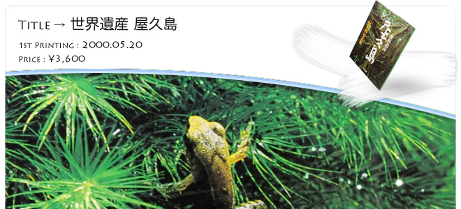 �O�D�a�`�ʐ^�W