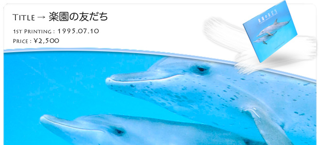 �O�D�a�`�ʐ^�W