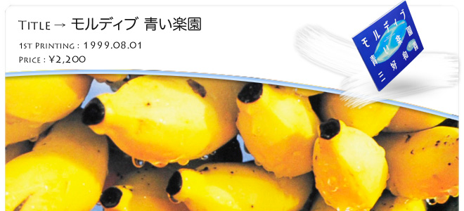 �O�D�a�`�ʐ^�W